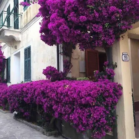 La Casa Dei Nonni