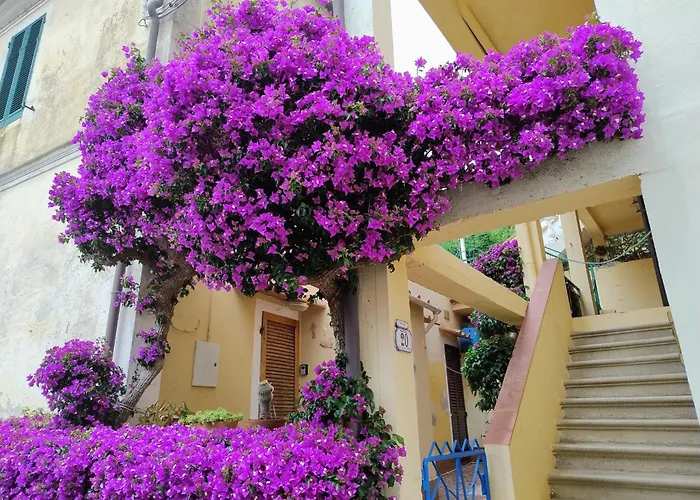 La Casa Dei Nonni * Cavo