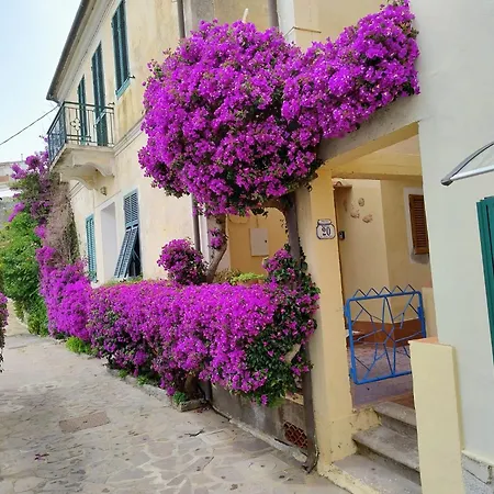 La Casa Dei Nonni Appartamento